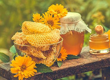 Công dụng Sâm Ngọc Linh