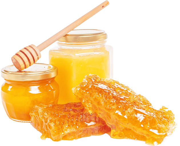 Lợi ích Sâm Ngọc Linh